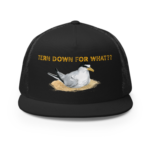 Tern down for WHAT?? Trucker Cap