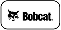 Bobcat